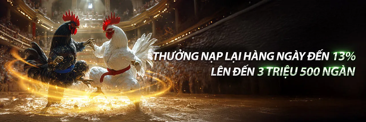 Sân vận động bóng đá sôi động